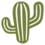 🌵 🌵