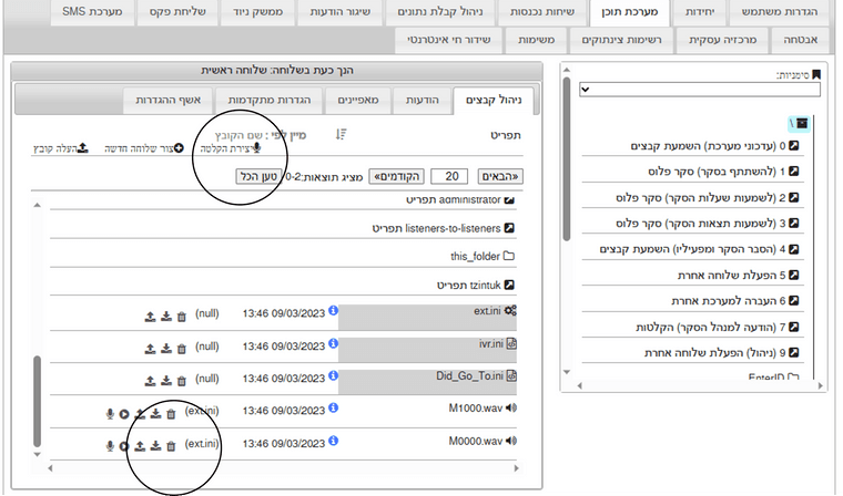 תמונה3.png