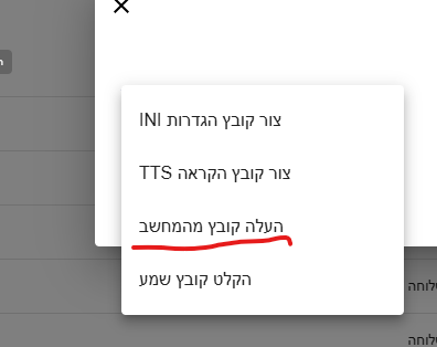 צילום מסך 2025-06-21 224011.png