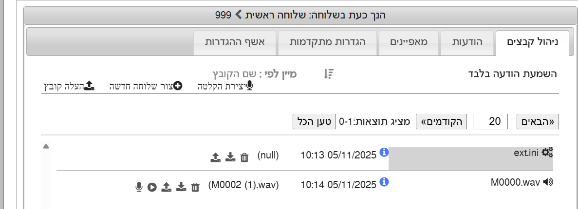 שלוחה999.png