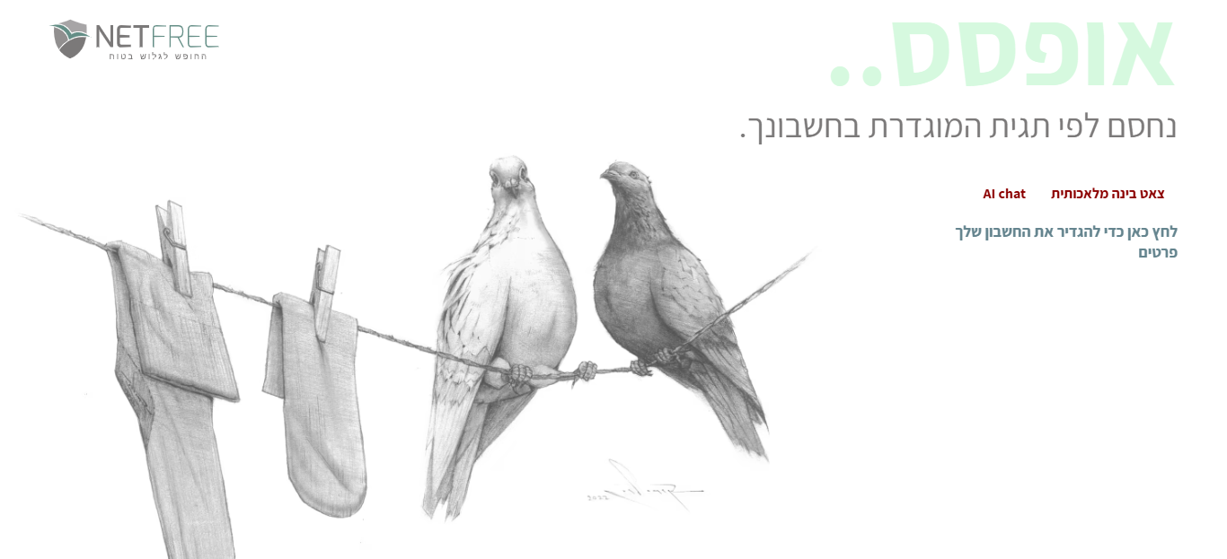 צילום מסך 2026-02-12 215317.png
