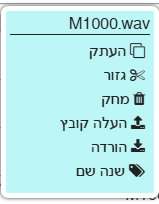 צילום מסך 2026-07-08 222822.png