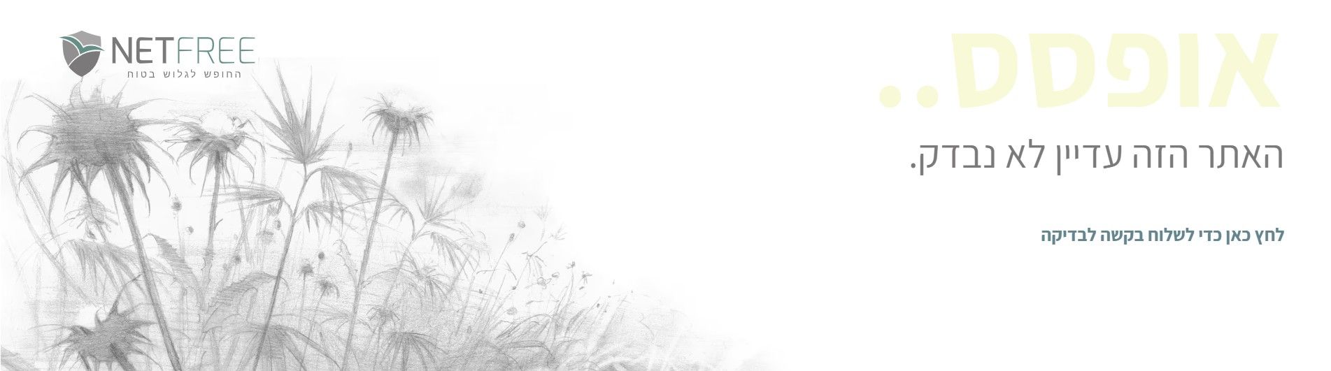 3e5b269d-b511-4f92-a15d-749cf7caec0a-image.jpeg